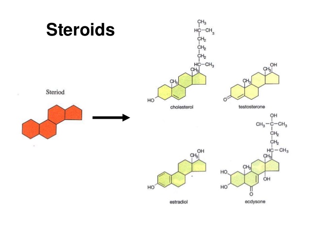 How To Teach what do steroids do Better Than Anyone Else